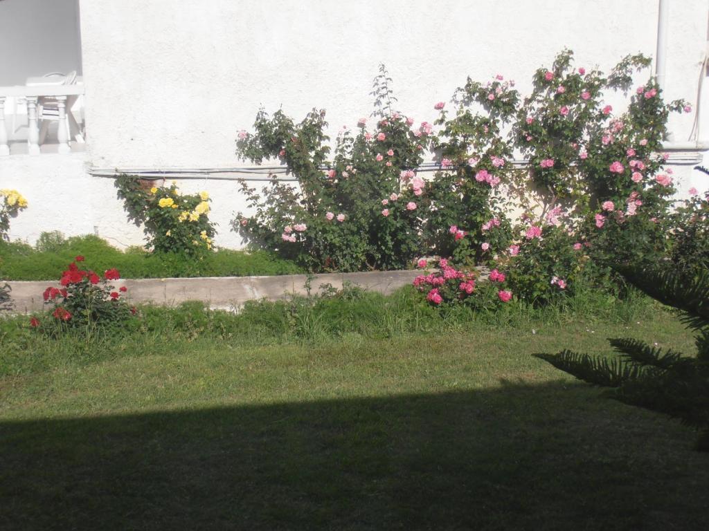 Mariliza Beach Hotel Marmari  Dış mekan fotoğraf